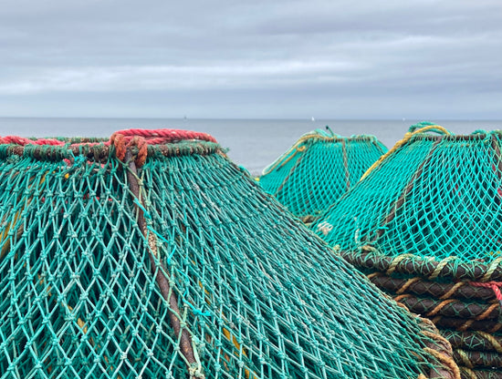 Des filets de pêche sur le bateau de Chasse-Marée, entreprise locale de Rimouski qui offre des produits de la mer et de la pêche provenant du fleuve Saint-Laurent.